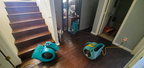 Best Flood damage cleanup  in Meadowdale, WA