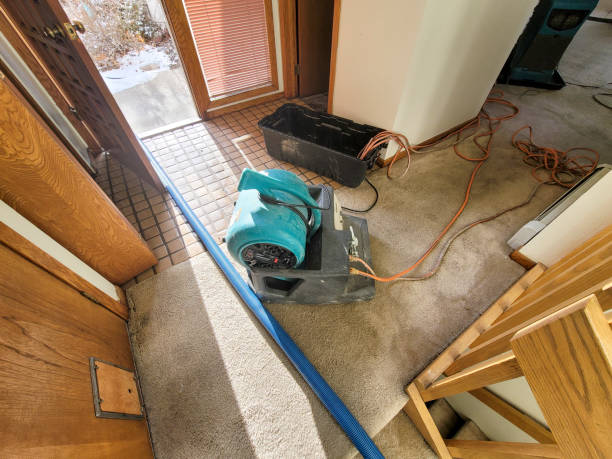 Best Sewage cleanup and water damage restoration  in Meadowdale, WA