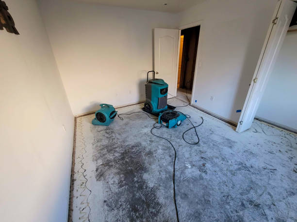 Best Local water damage restoration  in Meadowdale, WA