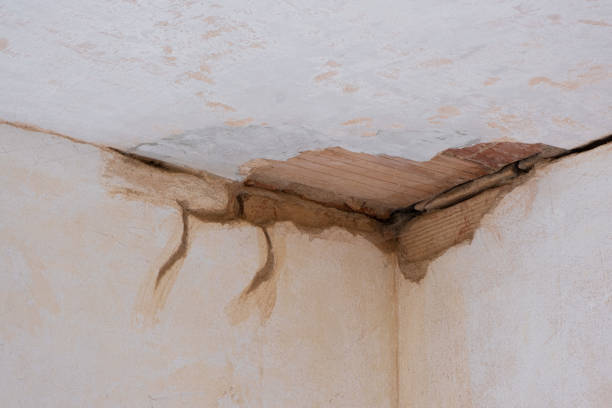 Best Basement water damage restoration  in Meadowdale, WA