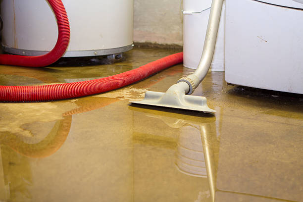 Best Flood restoration services  in Meadowdale, WA