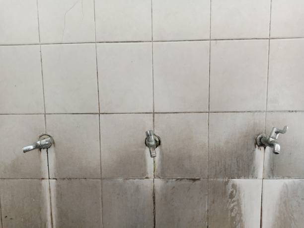 Best Residential water damage restoration  in Meadowdale, WA