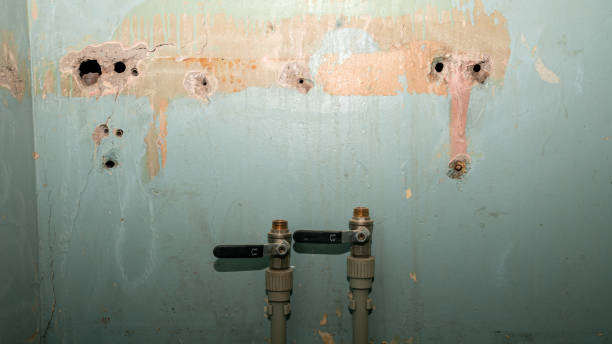 Best Water damage restoration insurance claims  in Meadowdale, WA